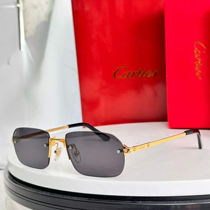 Picture of Cartier Sunglasses _SKUfw79479198fw
